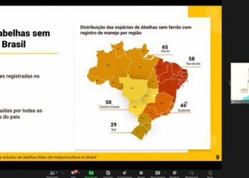 Saiba o que é VPN, recurso limitado por decisão que suspendeu X