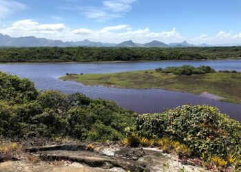 Parques estaduais funcionarão normalmente no feriado da Independência