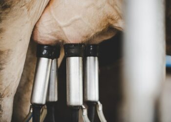 Eleições 2024: 103 municípios podem ter 2º turno em 27 de outubro