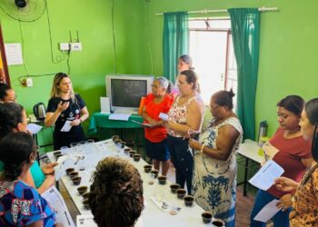 Produtoras rurais de Alegre participam de curso de qualidade do café
