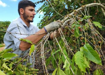Governo do Estado publica novo decreto para fomento a negócios de impacto socioambiental