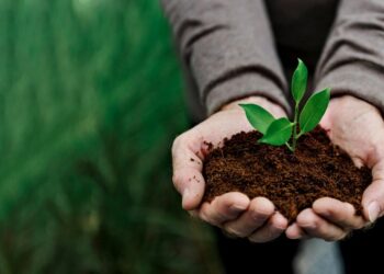 Fapes e Iema lançam edital em conjunto para financiar eventos de educação ambiental no Espírito Santo