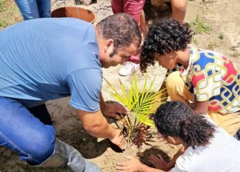 Última superlua cheia do ano pode ser vista nesta sexta-feira