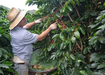 STF não espera Congresso e começa a decidir responsabilidade de redes