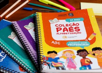 Espírito Santo é ouro no selo Compromisso com a Alfabetização do MEC