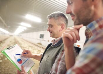 PIB do Espírito Santo cresce em todas as bases de comparação no 3º trimestre de 2024