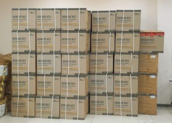 TRE-SP cassa diploma e torna inelegível deputada Carla Zambelli por criticas ao sistema eleitoral