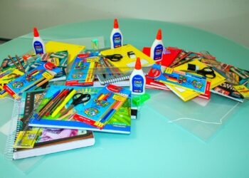 TRE-SP cassa diploma e torna inelegível deputada Carla Zambelli por criticas ao sistema eleitoral