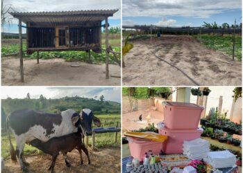 Espírito Santo adere ao Programa Fomento Rural e já beneficia 400 famílias do campo