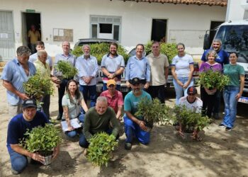 Celular no carnaval: saiba como proteger dados em caso de furto
