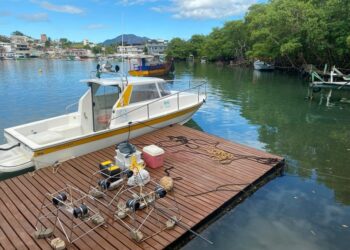 Pesquisa monitora peixes recifais nas Ilhas de Guarapari Linkedin