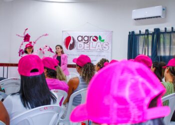 Mudanças no Pix: saiba como consultar e regularizar pendências no CPF