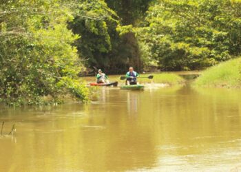 Copom eleva juros básicos da economia para 14,25% ao ano