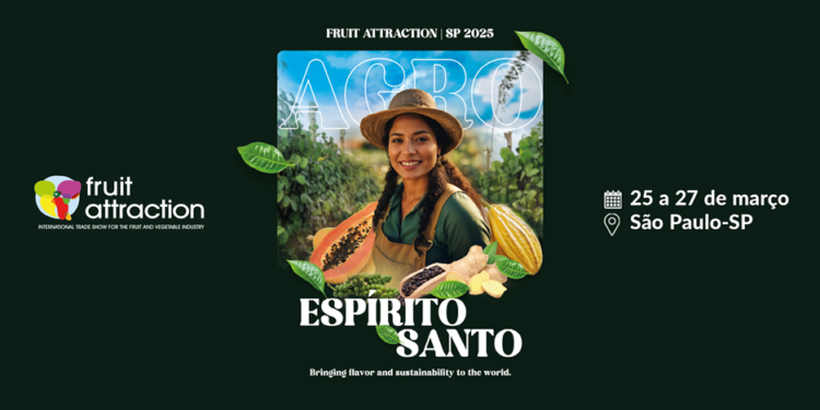 MEC escuta professores de matemática para aprimorar ensino dos alunos