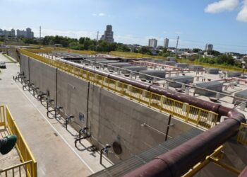 Musculação protege cérebro de idosos contra demência, diz estudo