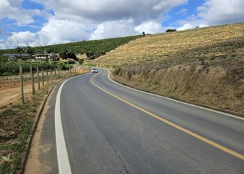 Governo quer retomar pauta de regulação das redes no Congresso