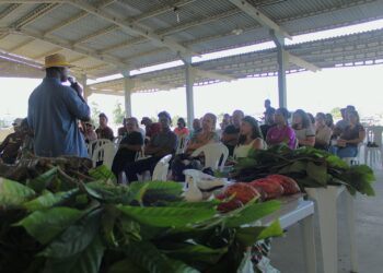 IR 2025: saiba como declarar previdência privada e pensão alimentícia