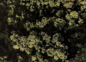 Capixabas disputam maior competição de base do surfe brasileiro