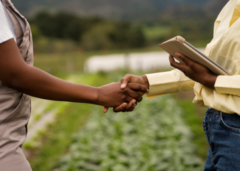 Banco Central eleva juros básicos da economia para 14,75% ao ano