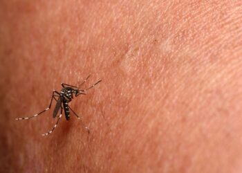 Banco Central eleva juros básicos da economia para 14,75% ao ano