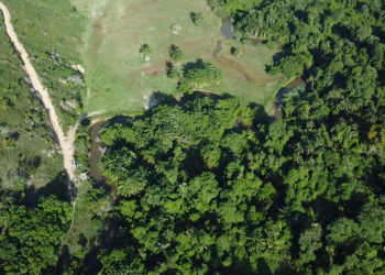 Estado investe mais de R$ 34 milhões na alimentação escolar com produtos da agricultura familiar