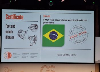 Segundo Governo, descontos indevidos do INSS serão ressarcidos até 31 de dezembro