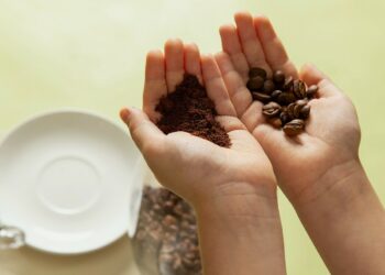 Espírito Santo articula novo Plano de Crédito Rural para fortalecer o agro capixaba