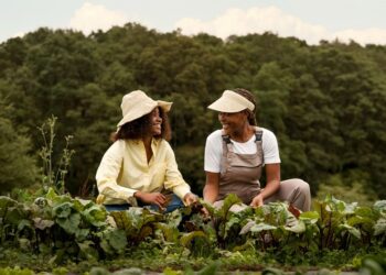 INSS: reembolso de desconto ilegal começa dia 24; saiba como aderir