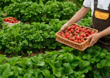 Ciclone mantém tempo instável no Sul e Sudeste