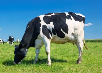 Conta de luz mais cara em agosto: Procon-ES dá dicas para gastar menos