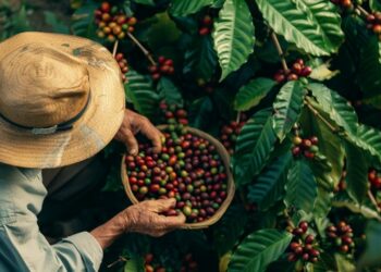 Unicef: obesidade infantil supera desnutrição pela 1ª vez no mundo