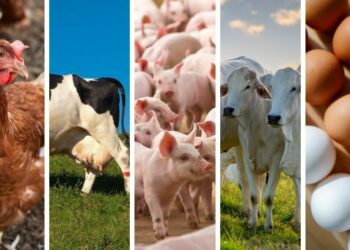 Primeira Turma do STF condena Bolsonaro há 27 anos de prisão por ‘trama golpista’