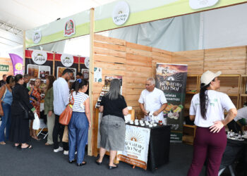 Espírito Santo comemora Dia Internacional do Ovo com resultados expressivos