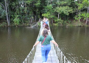 Programa Estado Presente consolida redução de homicídios no Espírito Santo