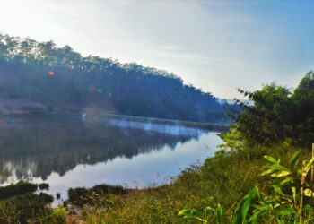 Surto no Santa Rita: oito novas amostras dão positivas para contaminação por fungo