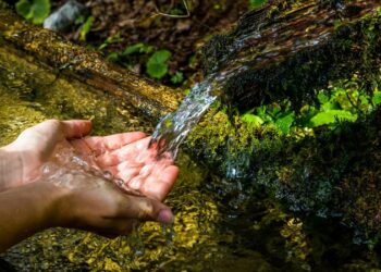 Governo prorroga até 2026 prazo para pedido de ressarcimento do INSS