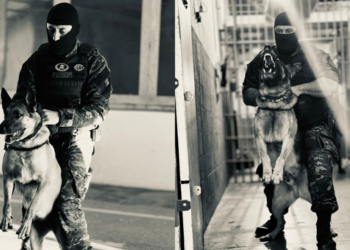 STF diz que recreio integra jornada de professores