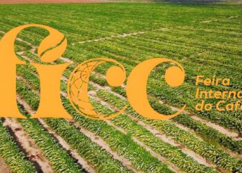 Black Friday deve movimentar R$ 5,4 bilhões no comércio do país