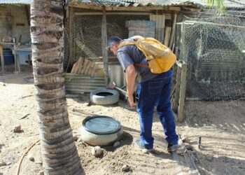 Impa lança olimpíada de matemática para professores dos anos iniciais