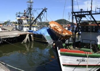 Proibição da pesca com traineiras no Espírito Santo é aprovada e fortalece a pesca artesanal