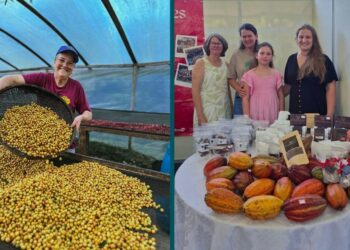 Inscrições para o Sisu 2026 começam em 19 de janeiro