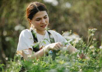 Verão 2026: atenção para os cuidados com as plantas