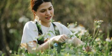 Verão 2026: atenção para os cuidados com as plantas