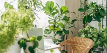 Verão 2026: Cuidados com pets no verão