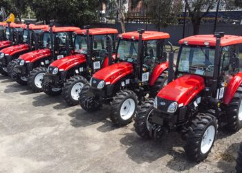 Sistema permite emissão de certificado de conclusão do ensino médio