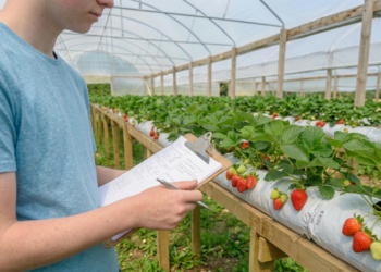 SUS começa a usar novo tratamento contra a malária em crianças