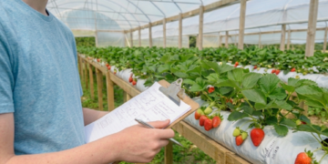 SUS começa a usar novo tratamento contra a malária em crianças