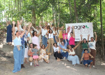 Envio de declaração do IR começa na próxima semana; veja regras