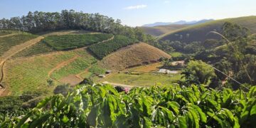 IRPF 2026 terá restituição automática para pequenos contribuintes