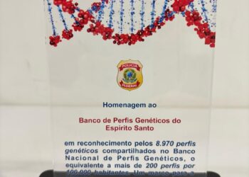 ECA Digital começa a valer; confira principais pontos